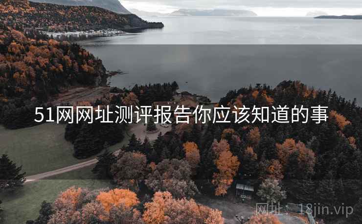 51网网址测评报告你应该知道的事