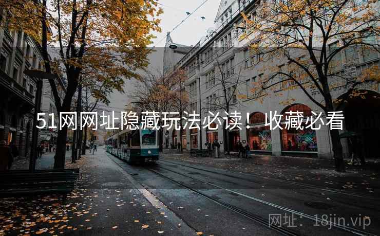 51网网址隐藏玩法必读！收藏必看