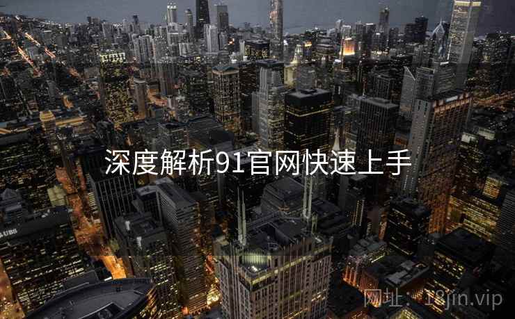 深度解析91官网快速上手