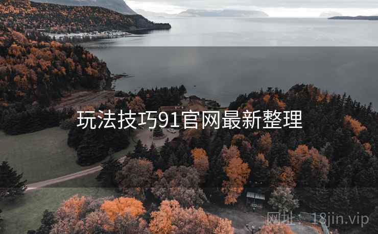 玩法技巧91官网最新整理