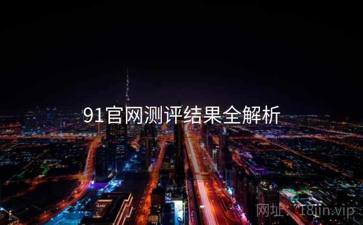 91官网测评结果全解析