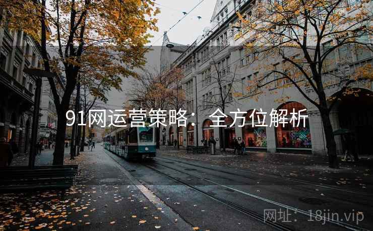 91网运营策略：全方位解析