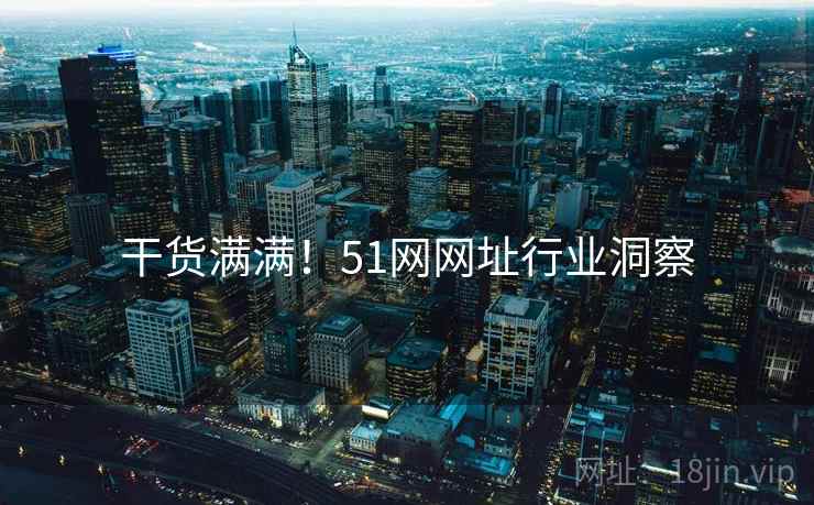 干货满满！51网网址行业洞察