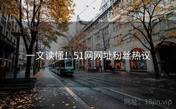 一文读懂！51网网址粉丝热议