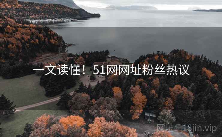 一文读懂！51网网址粉丝热议