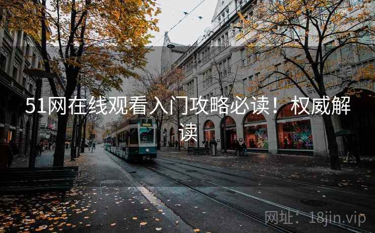 51网在线观看入门攻略必读！权威解读
