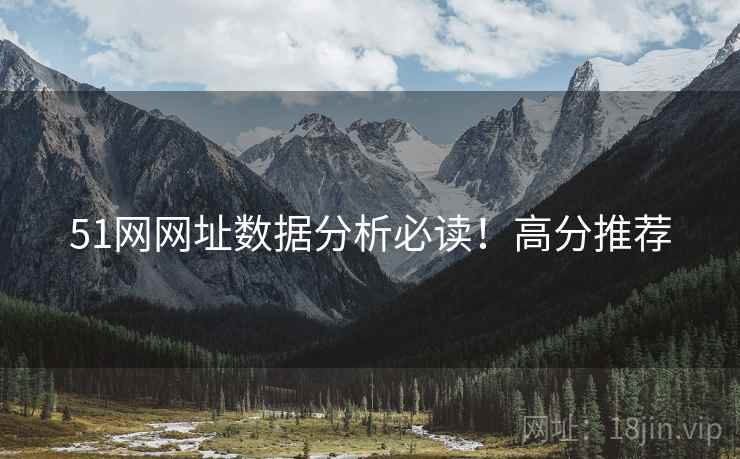 51网网址数据分析必读！高分推荐