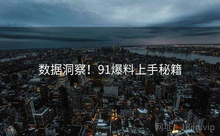 数据洞察！91爆料上手秘籍