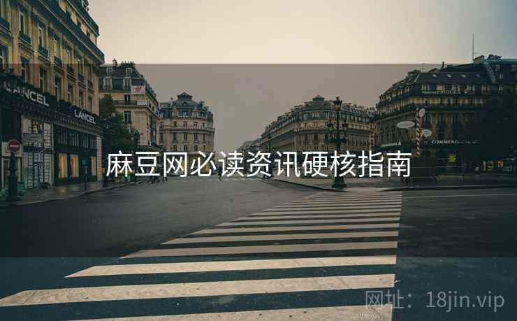 麻豆网必读资讯硬核指南