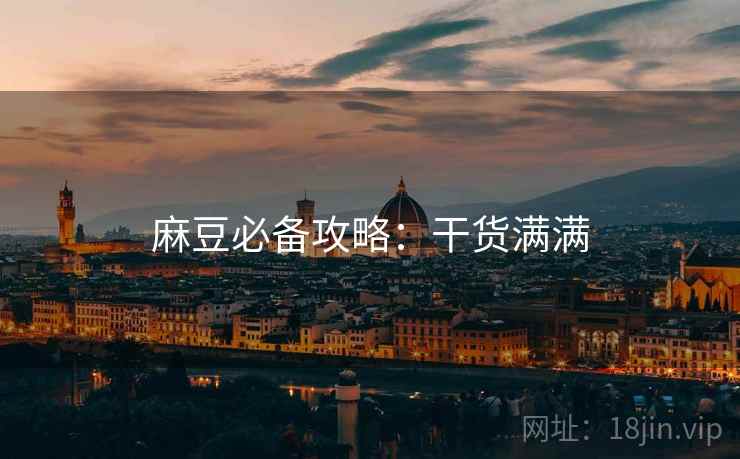 麻豆必备攻略：干货满满