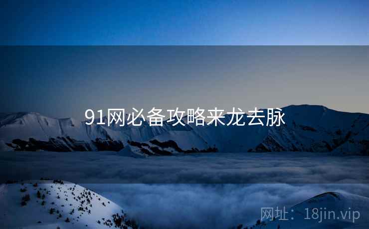 91网必备攻略来龙去脉