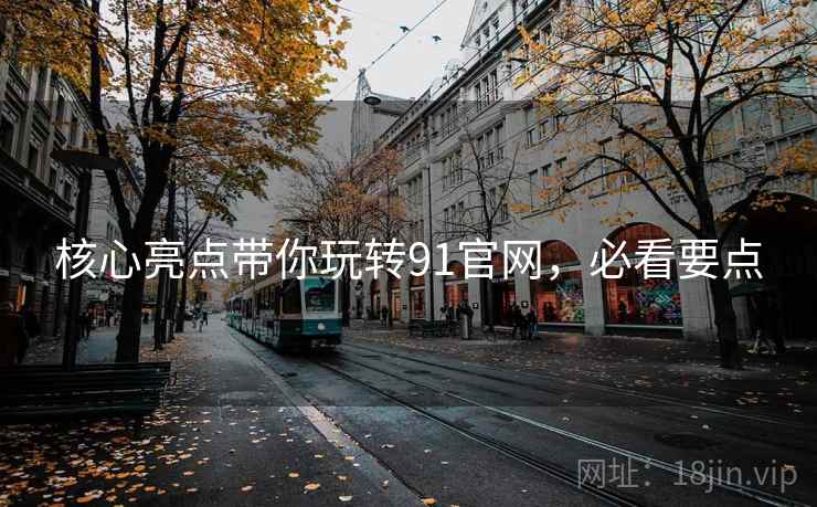 核心亮点带你玩转91官网，必看要点