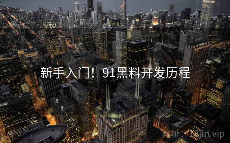 新手入门！91黑料开发历程