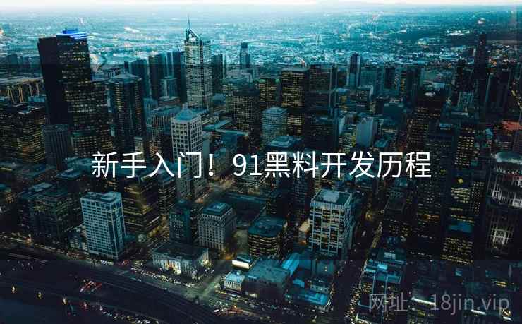 新手入门！91黑料开发历程