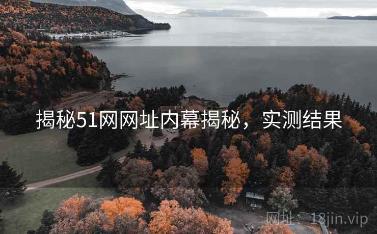 揭秘51网网址内幕揭秘，实测结果
