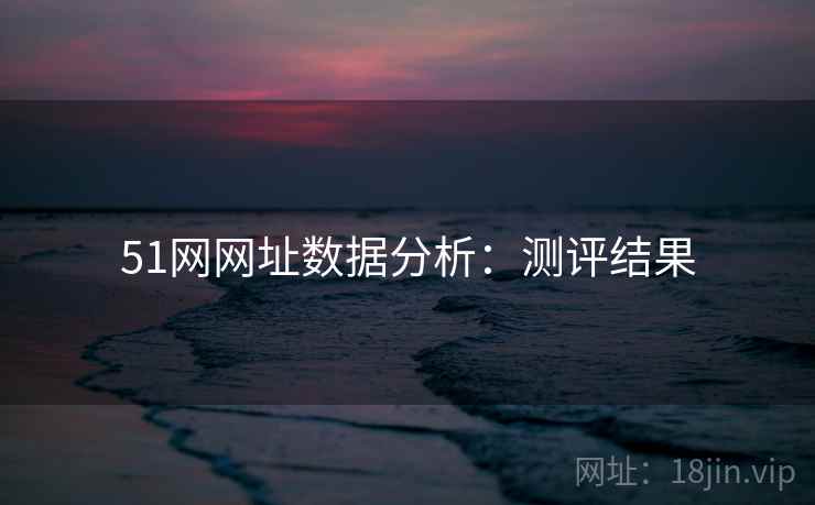51网网址数据分析：测评结果