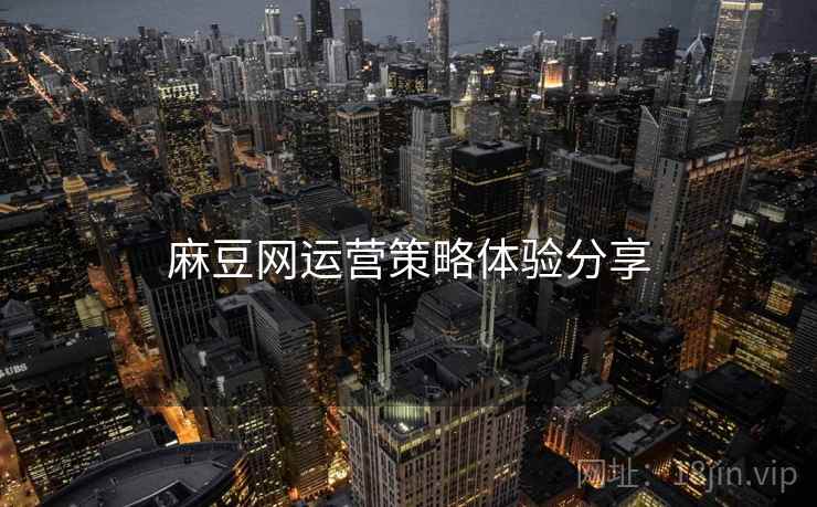 麻豆网运营策略体验分享