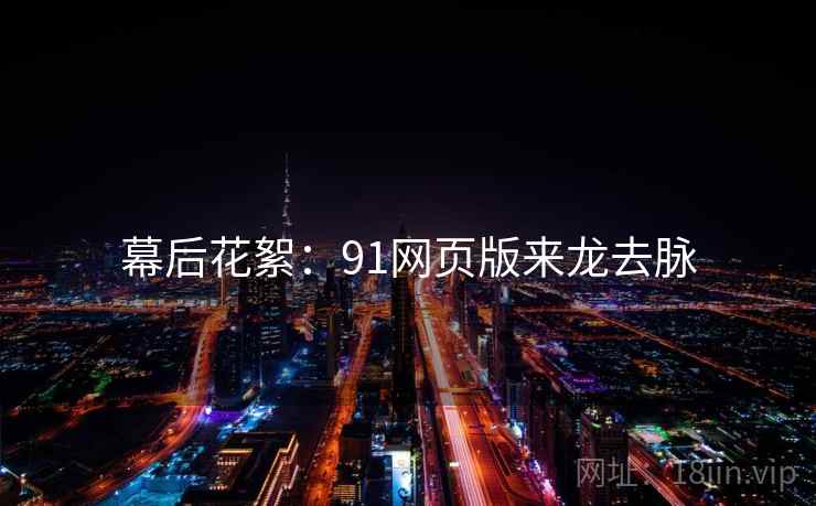 幕后花絮：91网页版来龙去脉