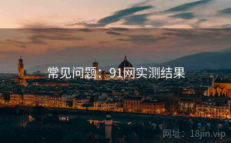 常见问题：91网实测结果